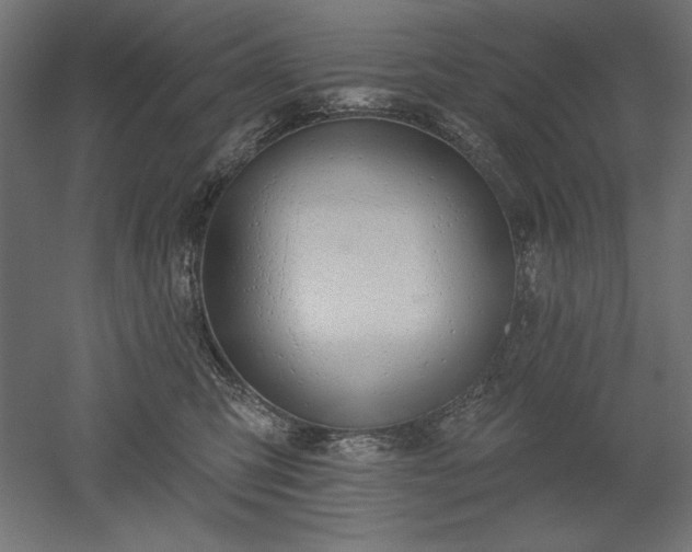 X0000051920423200507011605