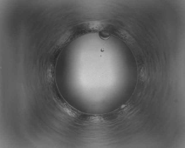 X0000051920424200507011605