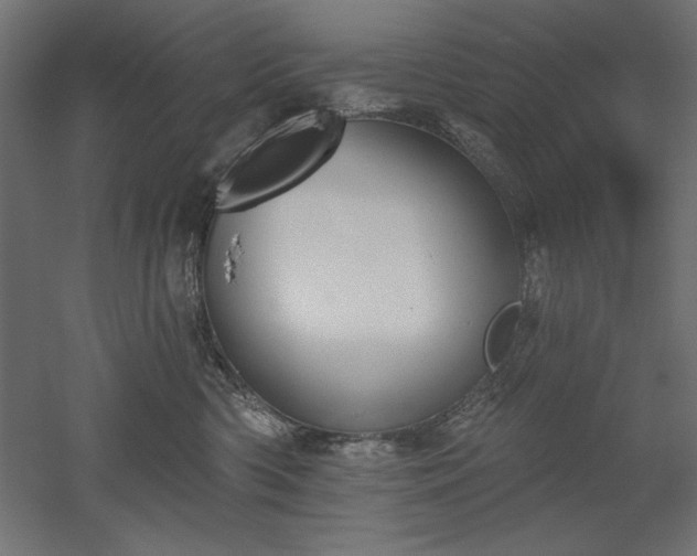 X0000051920426200507011605