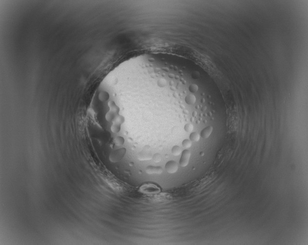 X0000051920427200507011605