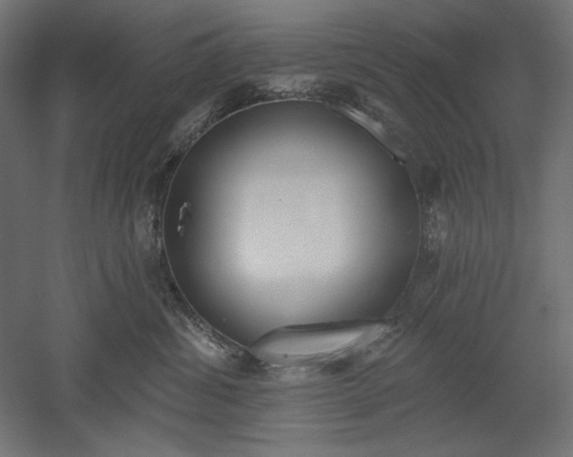 X0000051920428200507011605