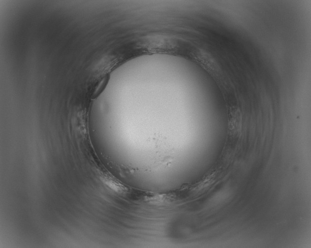 X0000051920430200507011604
