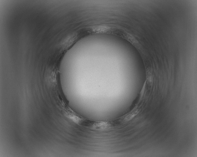 X0000051920431200507011604