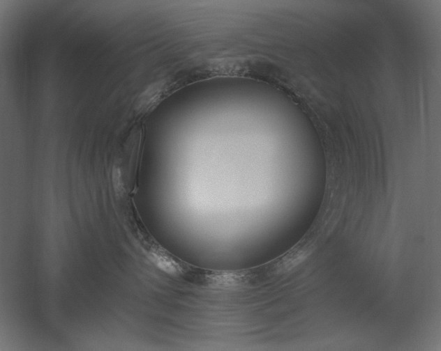 X0000051920432200507011604