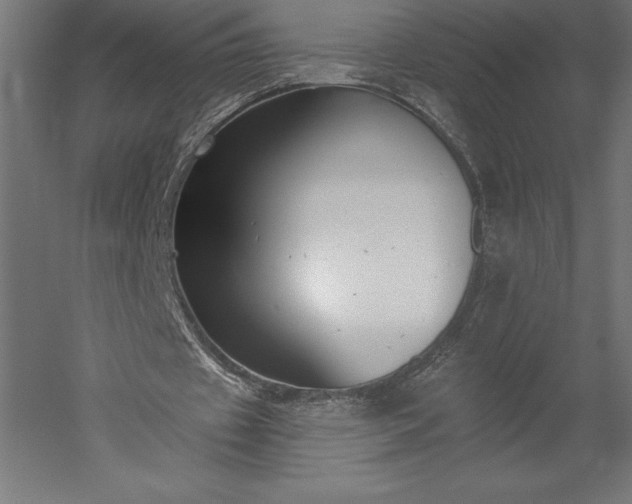 X0000051920433200507011604