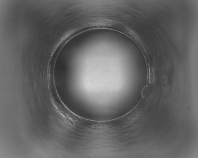 X0000051920435200507011604