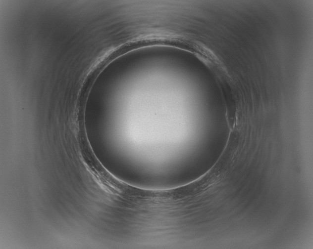 X0000051920436200507011604