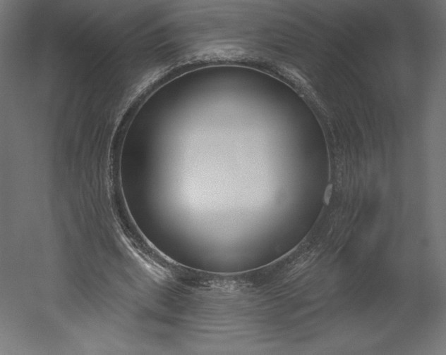 X0000051920439200507011604