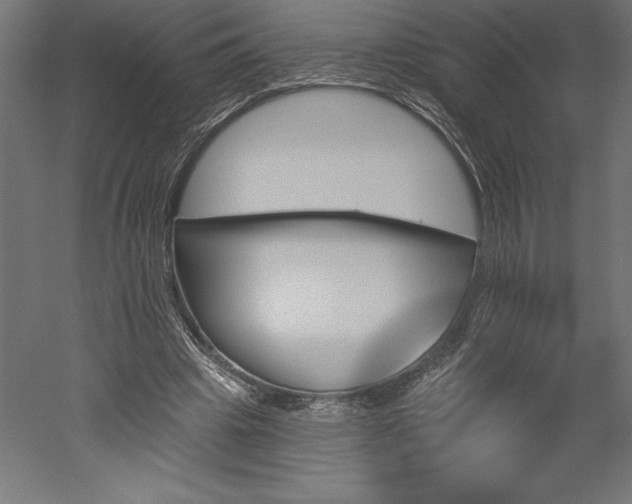 X0000051920441200507011604