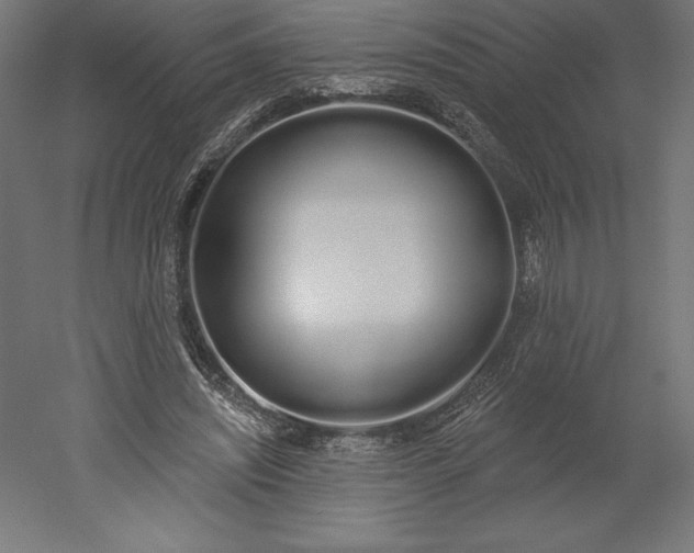 X0000051920444200507011604