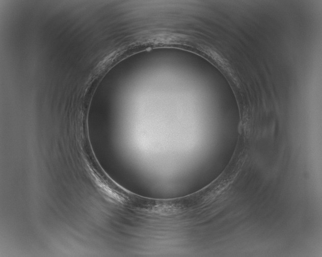 X0000051920445200507011604