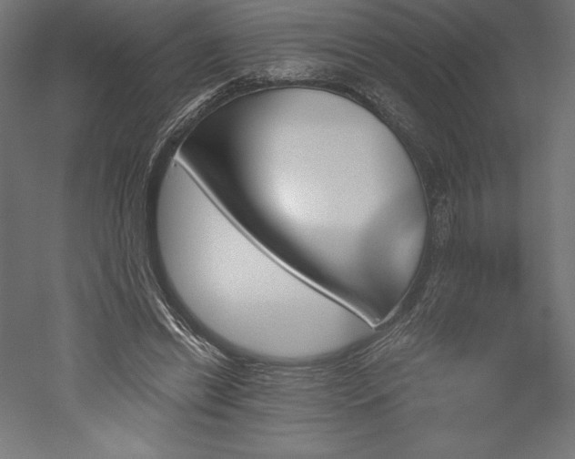 X0000051920446200507011604
