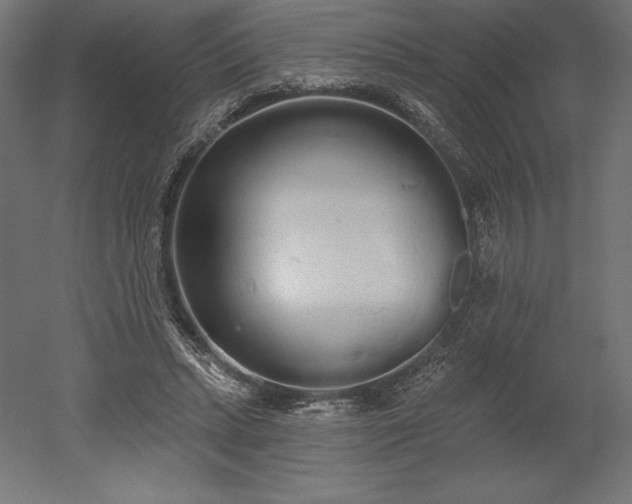 X0000051920447200507011604