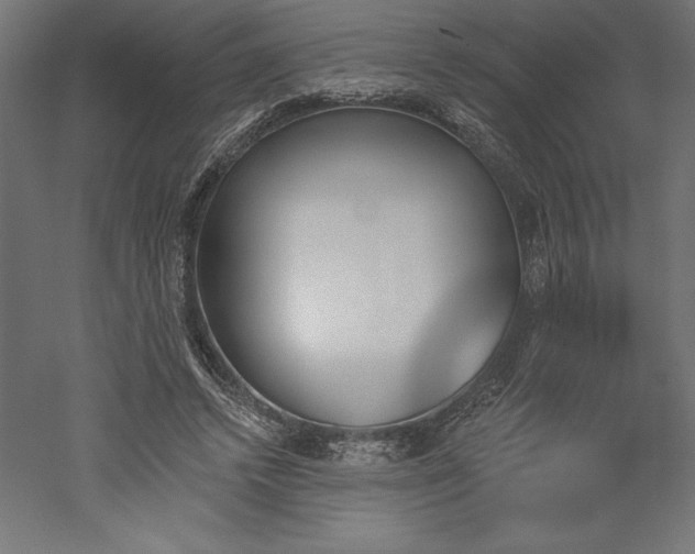 X0000051920448200507011604