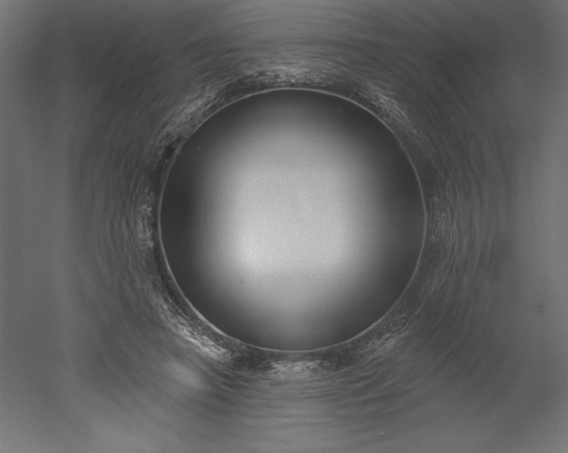 X0000051920450200507011604