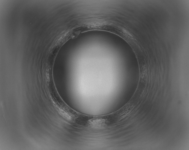 X0000051920452200507011604