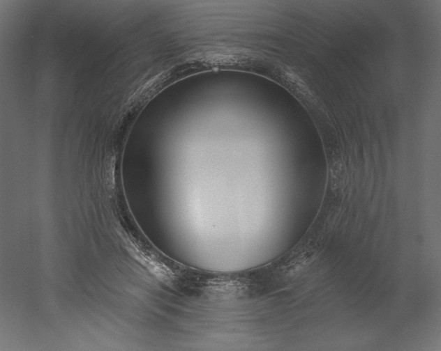 X0000051920454200507011604