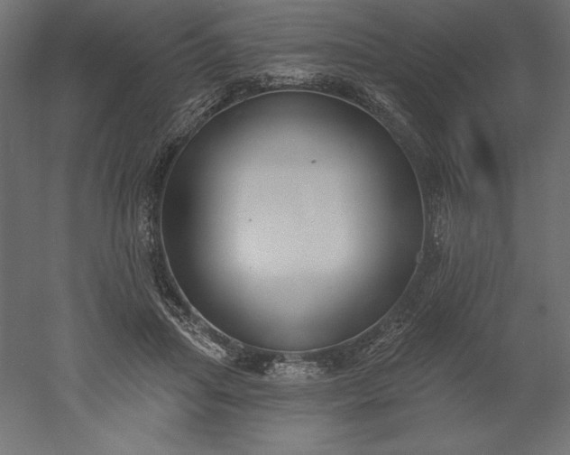 X0000051920455200507011604