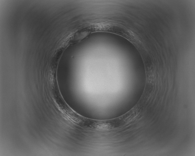X0000051920456200507011604
