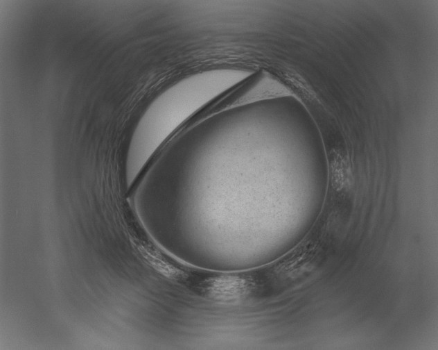 X0000051920458200507011604