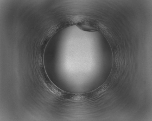 X0000051920459200507011604