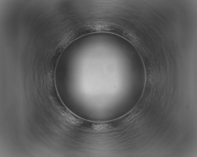 X0000051920461200507011604