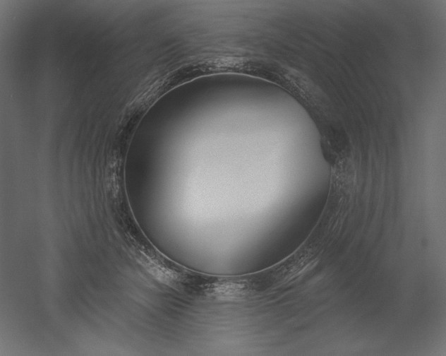 X0000051920462200507011604