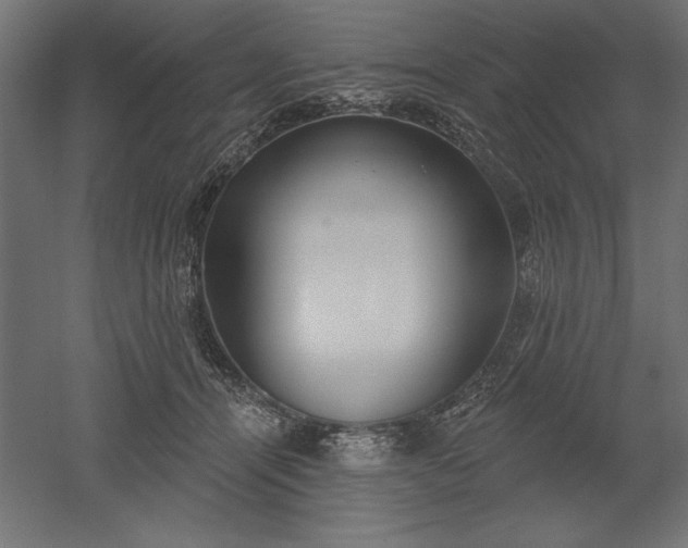 X0000051920464200507011604