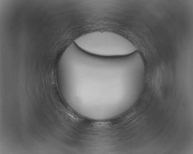 X0000051920465200507011604