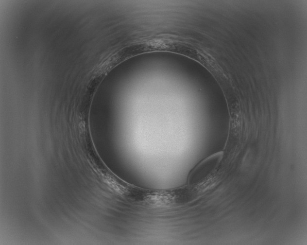 X0000051920466200507011604
