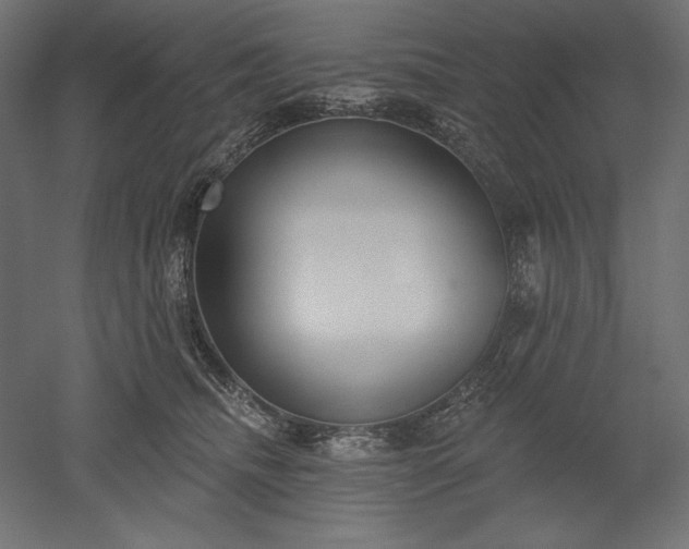 X0000051920468200507011604
