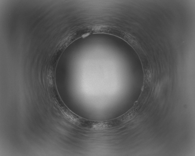 X0000051920470200507011604