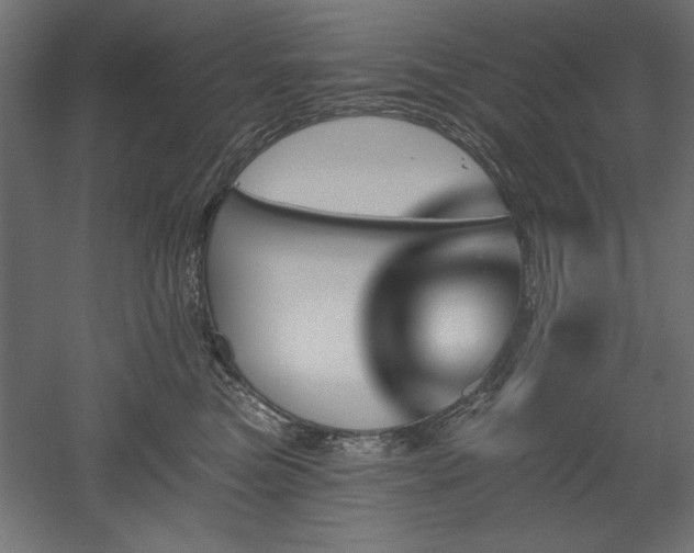 X0000051920473200507011604