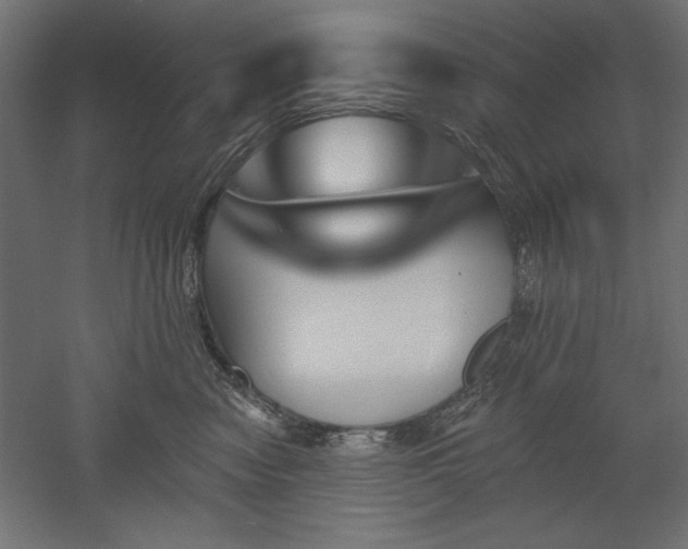 X0000051920474200507011604