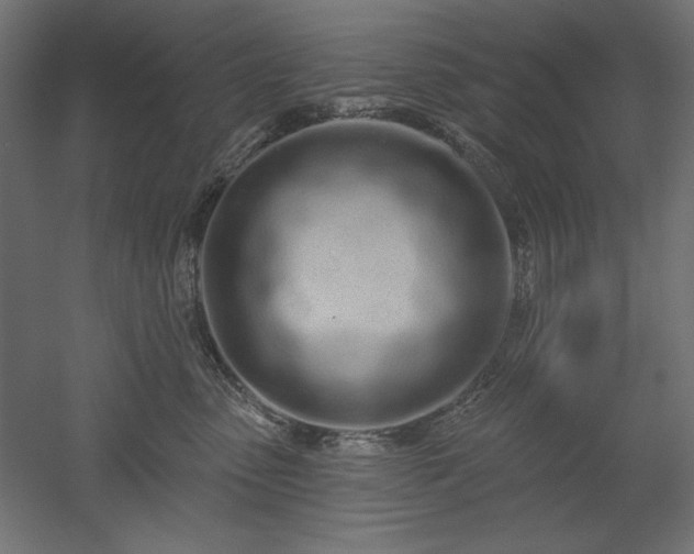 X0000051920475200507011604