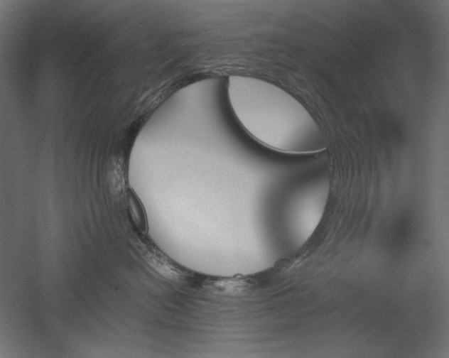 X0000051920478200507011604