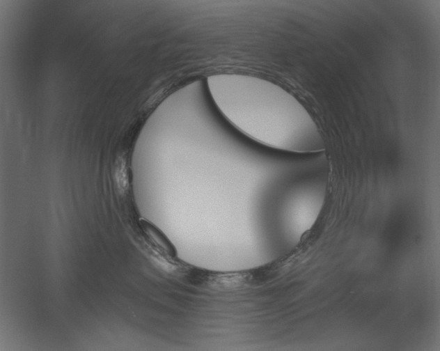 X0000051920479200507011604
