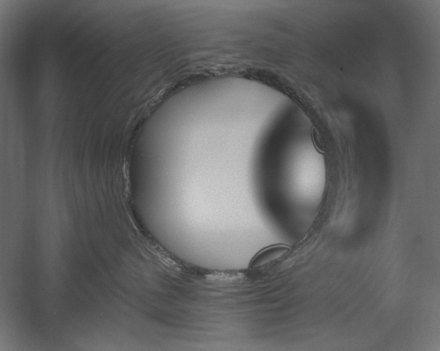 X0000051920480200507011604