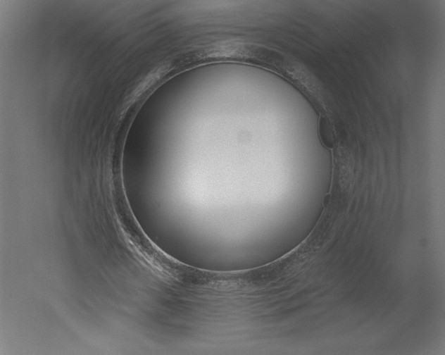 X0000051920482200507011604