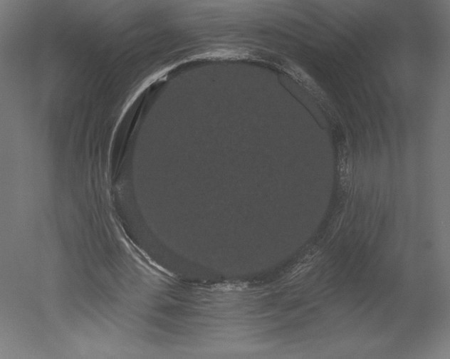 X0000051920484200507011604