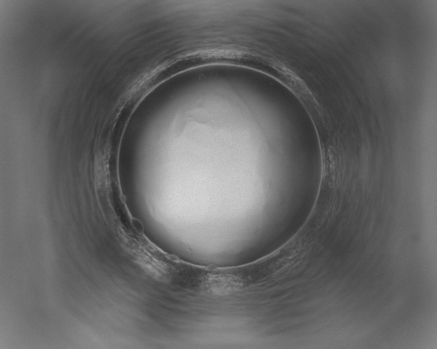 X0000051920487200507011604