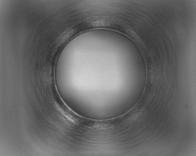 X0000051920490200507011603