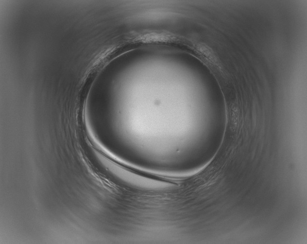 X0000051920491200507011603