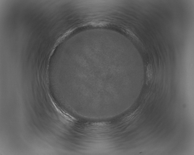 X0000051920492200507011603