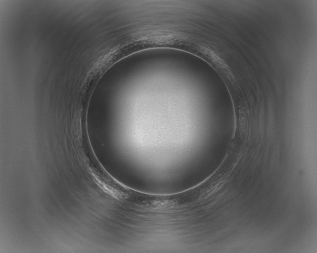 X0000051920493200507011603