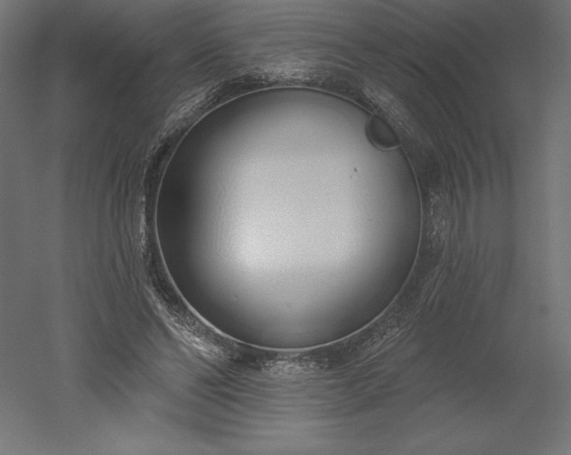 X0000051920494200507011603