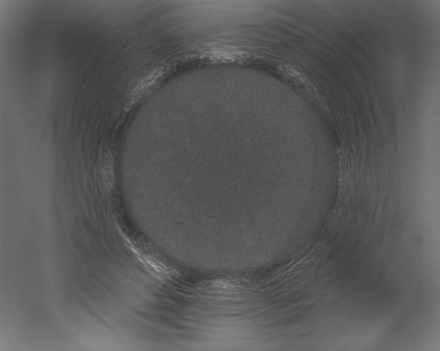 X0000051920496200507011603