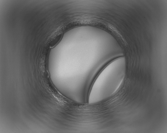 X0000051920497200507011603