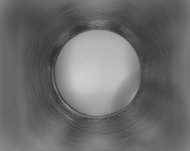 X0000051920498200507011603