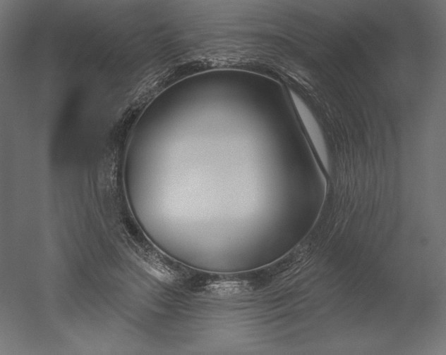 X0000051920499200507011603